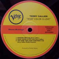  What Color Is Love / Terry Callier